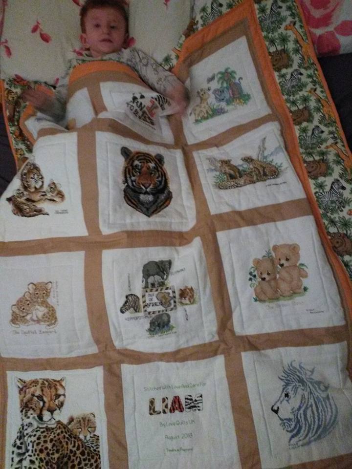 Photo of Liam P's quilt