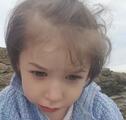 Willow T