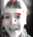 Harley W