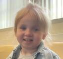 Harlow D