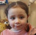 Lexi-Bee