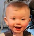 Zander