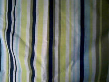 Fabric for Zachary W