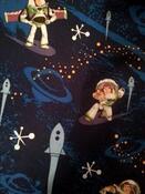 Fabric for William D 