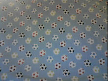 Fabric for Daniel W