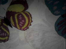 Fabric for Abigail B