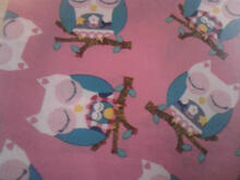 Fabric for Libby C