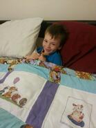Paddy B's quilt