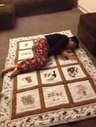 Luke B's quilt