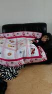 Emily G's quilt