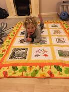 Nicholas S's quilt
