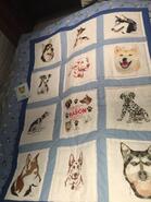 Mason B's quilt