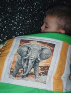 Zack B's quilt