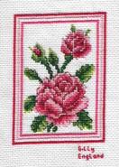 Cross stitch square for Milly P's quilt