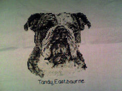 Cross stitch square for Karise S's quilt