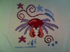 Cross stitch square for Owen L's quilt