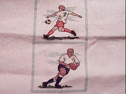 Cross stitch square for Finley T's quilt