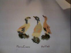 Cross stitch square for (QUILTED) Birds's quilt