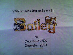 Cross stitch square for Bailey K's quilt