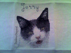 Cross stitch square for Bailey K's quilt