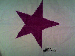 Cross stitch square for Destiny M's quilt