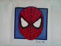Cross stitch square for Cameron A's quilt