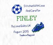 Cross stitch square for Finley T's quilt