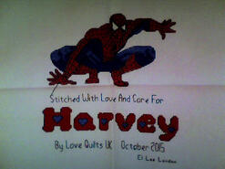 Cross stitch square for Harvey C's quilt