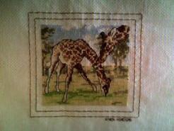 Cross stitch square for Cody S's quilt