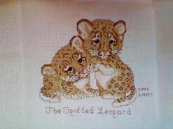 Cross stitch square for Noah N's quilt