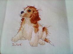 Cross stitch square for Bailey K's quilt