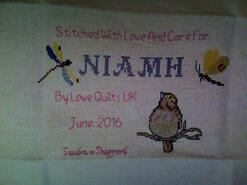 Cross stitch square for Niamh R's quilt