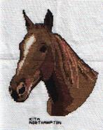 Cross stitch square for Iona's quilt