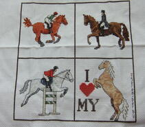 Cross stitch square for Iona's quilt