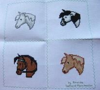 Cross stitch square for Iona's quilt