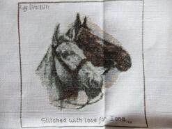 Cross stitch square for Iona's quilt