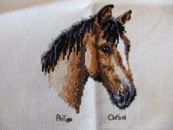 Cross stitch square for Iona's quilt