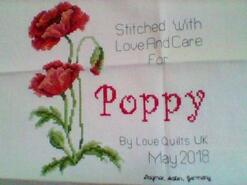 Cross stitch square for Poppy I's quilt