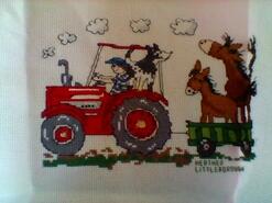 Cross stitch square for Charlie Y's quilt