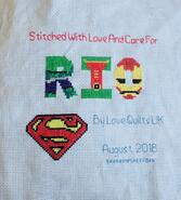 Cross stitch square for Rio V's quilt