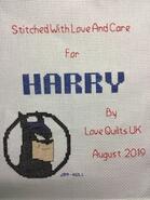 Cross stitch square for Harry's quilt