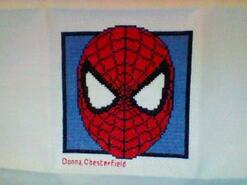 Cross stitch square for Zak Y's quilt