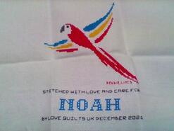 Cross stitch square for Noah N's quilt