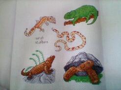 Cross stitch square for Oscar B's quilt