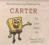 Cross stitch square for Carter L's quilt
