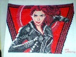 Cross stitch square for Kane S's quilt