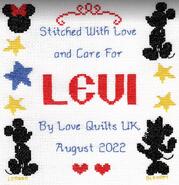 Cross stitch square for Levi B's quilt