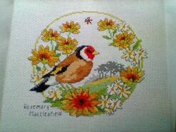 Cross stitch square for Abby R's quilt