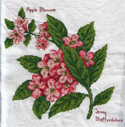 Cross stitch square for Lauryn A's quilt