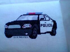 Cross stitch square for Daniel W's quilt